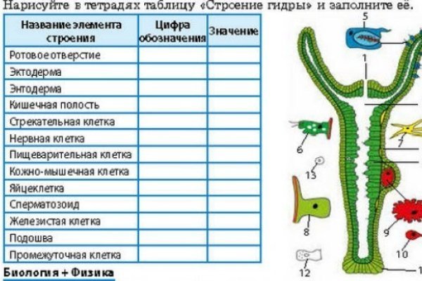 При входе на мегу пишет вы забанены